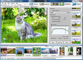 Artensoft Photo Editor screenshot