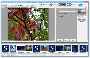 Artensoft Photo Editor screenshot 3