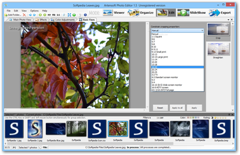 Artensoft Photo Editor screenshot 4