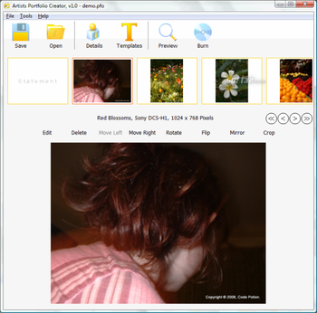 Artfolio Creator screenshot