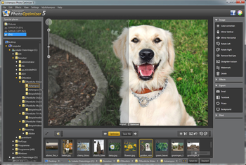 Ashampoo Photo Optimizer 6 screenshot