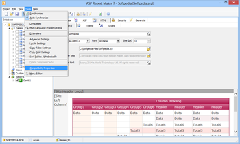 ASP Report Maker screenshot 5