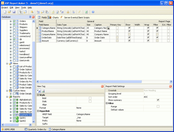 ASP Report Maker screenshot 2