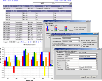 ASP Report Wizard screenshot