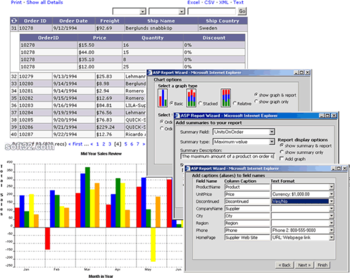 ASP Report Wizard screenshot 3
