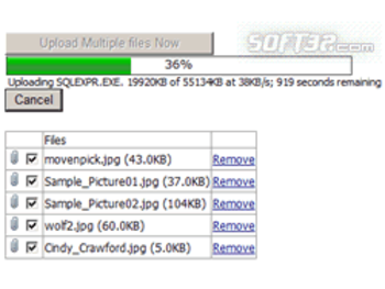 ASP.NET File Upload (AjaxUploader.com) screenshot 3