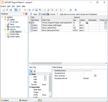 ASP.NET Report Maker screenshot 15