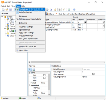 ASP.NET Report Maker screenshot 18