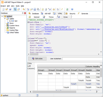 ASP.NET Report Maker screenshot 5