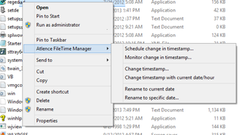 Atlence FileTime Manager screenshot 3