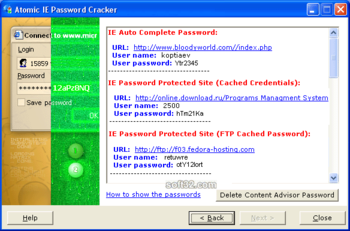 Atomic IE Password Recovery screenshot 3