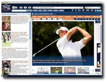 Auburn Tigers IE Browser Theme screenshot