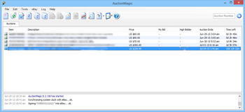 AuctionMagic screenshot