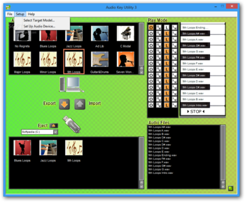 Audio Key Utility screenshot 2