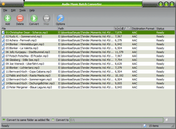 Audio Music Batch Converter screenshot 3
