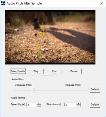 Audio Pitch Directshow Filter screenshot