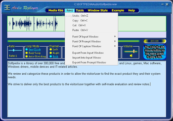 Audio Replayer screenshot 2