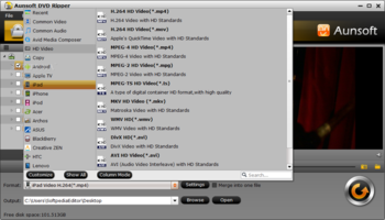 Aunsoft DVD Ripper screenshot 2