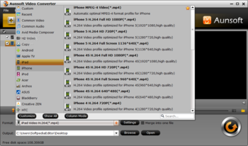 Aunsoft Video Converter screenshot 2