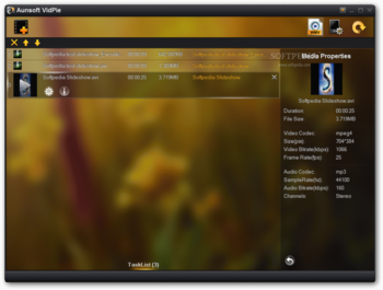 Aunsoft VidPie screenshot