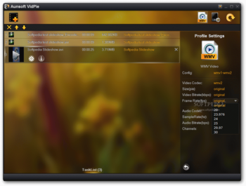 Aunsoft VidPie screenshot 2