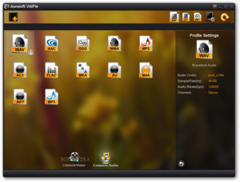 Aunsoft VidPie screenshot 3