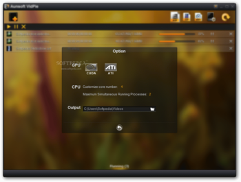 Aunsoft VidPie screenshot 4