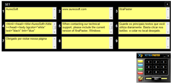 AureoSoft XtraPaster screenshot