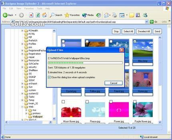 Aurigma Image Uploader screenshot 3