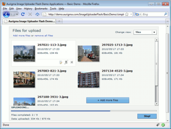 Aurigma Image Uploader Flash screenshot 2