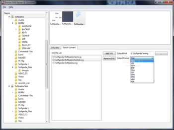 Aurora SVG Viewer & Converter screenshot 2