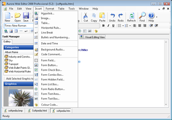 Aurora Web Editor 2008 Professional screenshot 2