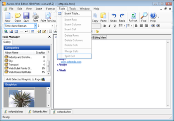 Aurora Web Editor 2008 Professional screenshot 4