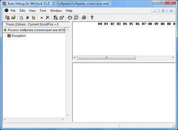 Auto Debug for Winsock screenshot