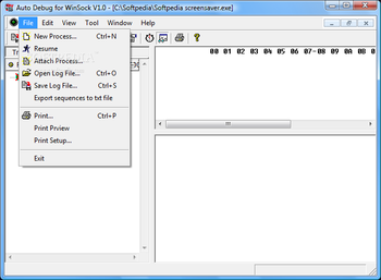 Auto Debug for Winsock screenshot 2