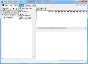 Auto Debug for Winsock screenshot 3