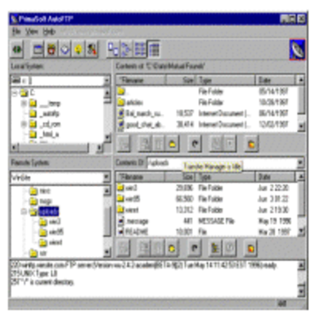 Auto FTP Service screenshot 2