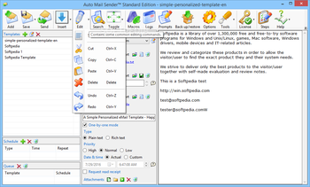 Auto Mail Sender Standard Edition screenshot 3