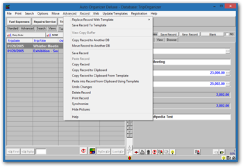 Auto Organizer Deluxe screenshot 6