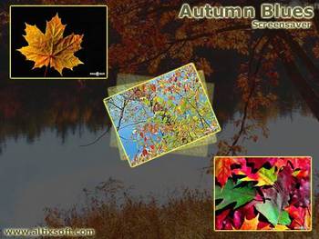 Autumn Blues Screensaver screenshot 2