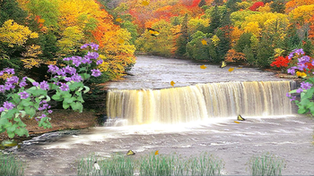 Autumn Waterfall screenshot