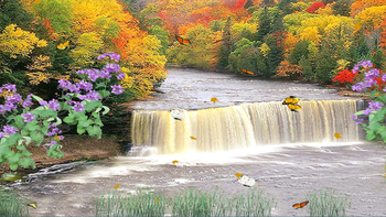Autumn Waterfall screenshot 2