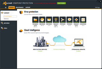 Avast Endpoint Protection screenshot 2