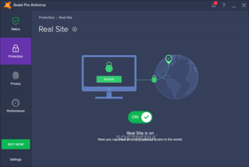 Avast Pro Antivirus screenshot 18