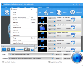 Avdshare Audio Converter screenshot 4