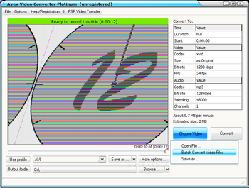 Avex Video Converter Platinum screenshot