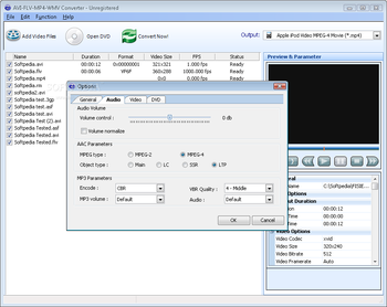 AVI-FLV-MP4-WMV Converter screenshot 3