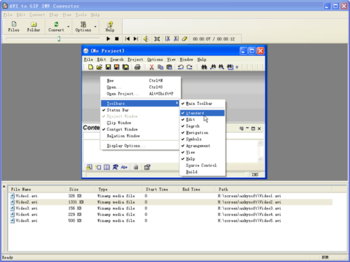 AVI to GIF SWF Converter screenshot 2