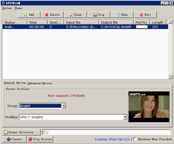 AVI2WebM screenshot