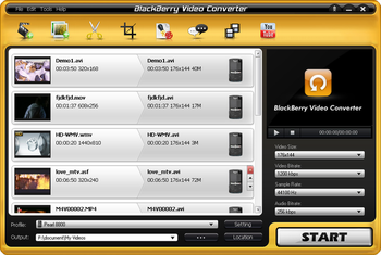 Aviosoft Blackberry Video Converter screenshot